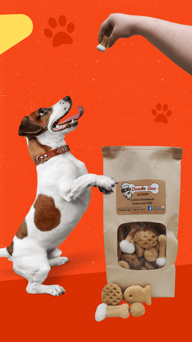 Homemade Dog Treats Party Bag Treat Blend 1lb Doodle Doo Bakery