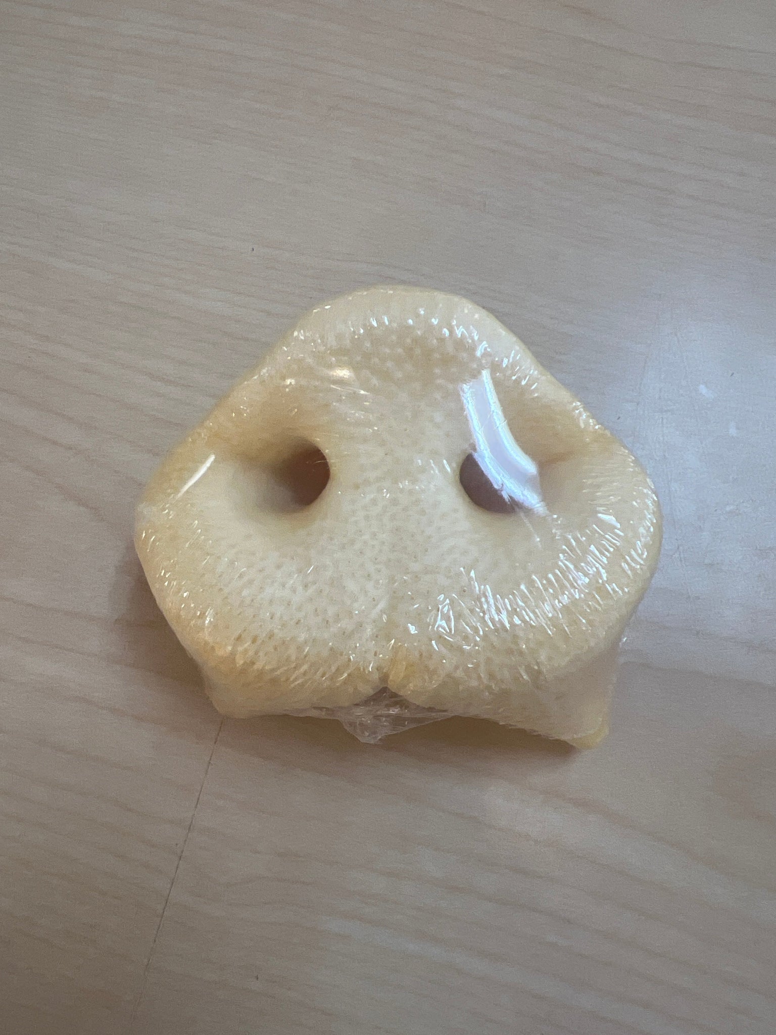 Cost Less Treat Pig Snout