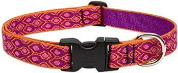 LupinePet Collar Pet Apparell Alpen Glow Collar 1/2 in 10"-16"cm