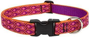 LupinePet Collar Pet Apparell Alpen Glow Leash 1/2in 6ft