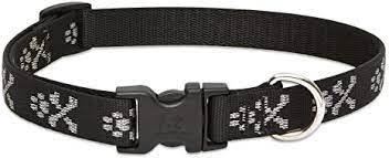 LupinePet Collar Pet Apparell Bling Bonz Collar 1/2 in 10"-16"cm