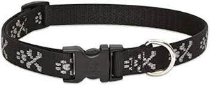 LupinePet Collar Pet Apparell Bling Bonz Leash 1/2in 6ft