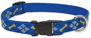 LupinePet Collar Pet Apparell Dapper Dog Collar 1/2 in 6"-9"cm