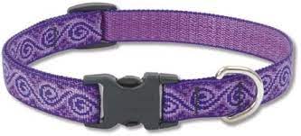 LupinePet Collar Pet Apparell Jelly Roll Collar 1/2 in 8"-12"cm