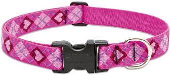 LupinePet Collar Pet Apparell Puppy Love Leash 3/4in 6ft