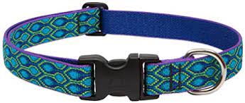 LupinePet Collar Pet Apparell Rain Song Collar 1/2 in 10"-16"cm