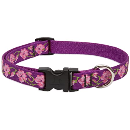 LupinePet Collar Pet Apparell Rose Garden Collar 1/2 in 10"-16"cm