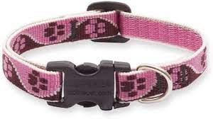 LupinePet Collar Pet Apparell Tickled Pink Collar 1/2 in 10"-16"cm