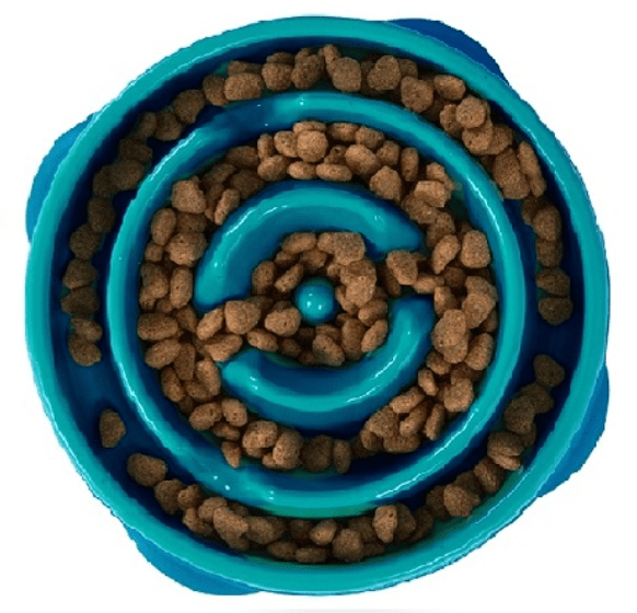 Outward Hound Pet Care Outward Hound Fun Feeders (MED/Teal)