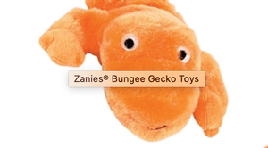 Zanies Toy Zanies® Bungee Gecko Toys (Orange)